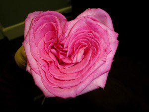 heart love flower