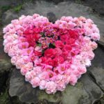 flowers in heart shape