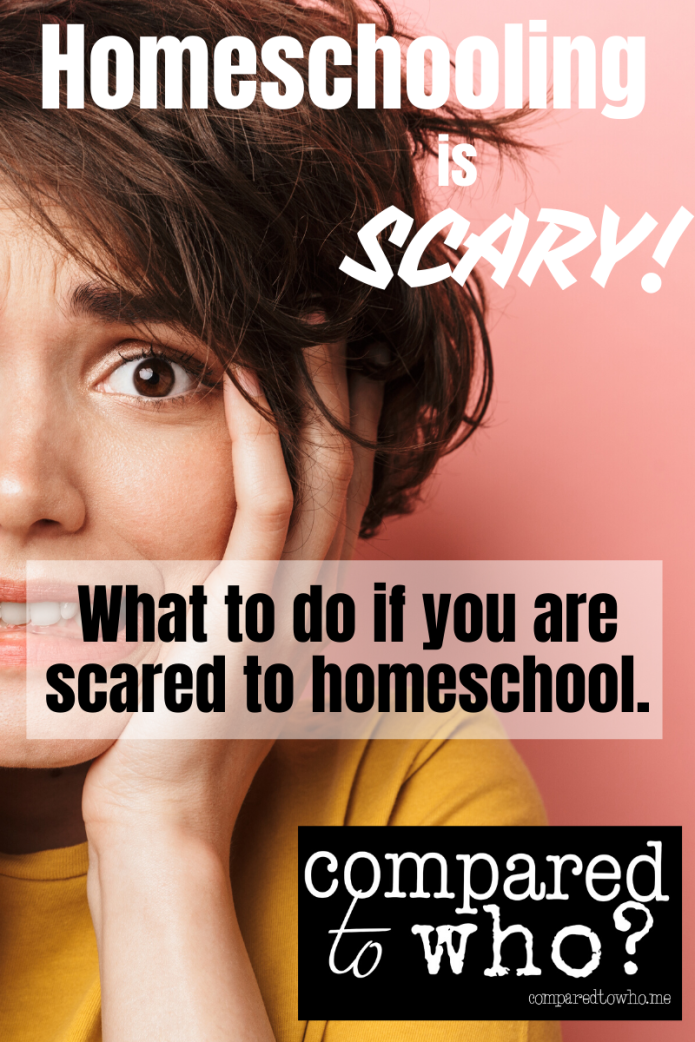 what to do if you are scared to homeschool