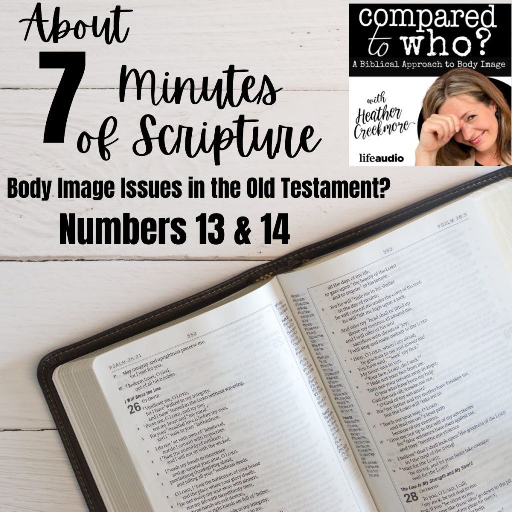 Scripture about body image issues and Old Testament Bible Numbers 13